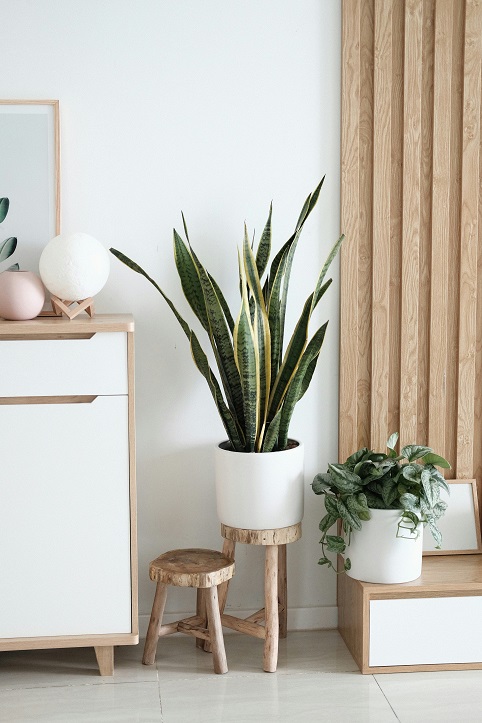 Tiendas de deco y diseño